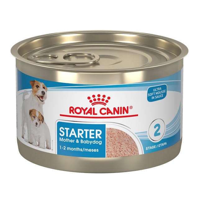 Royal Canin Starter Mousse Lata