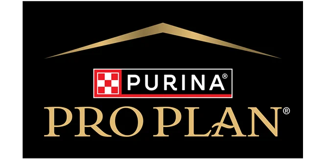 Pro Plan