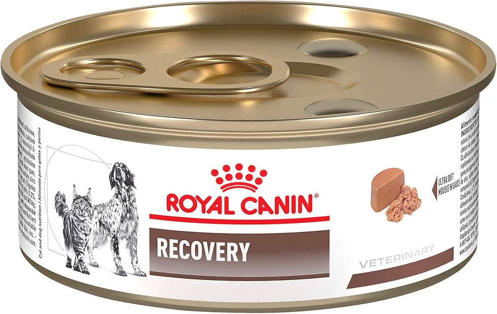 Lata Recovery Royal Canin