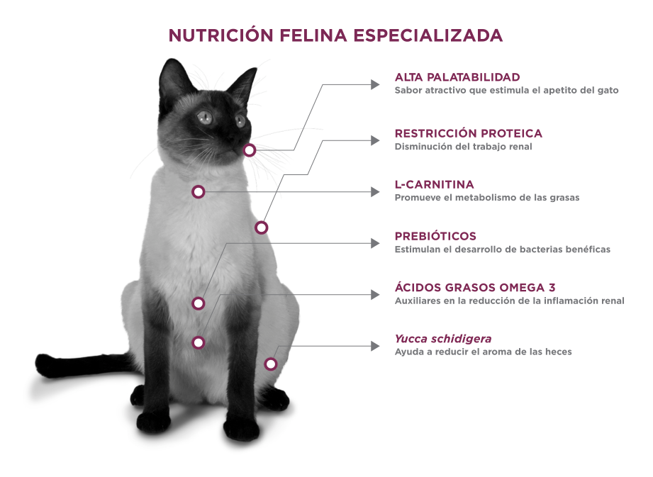 Nupec Felino Renal Care