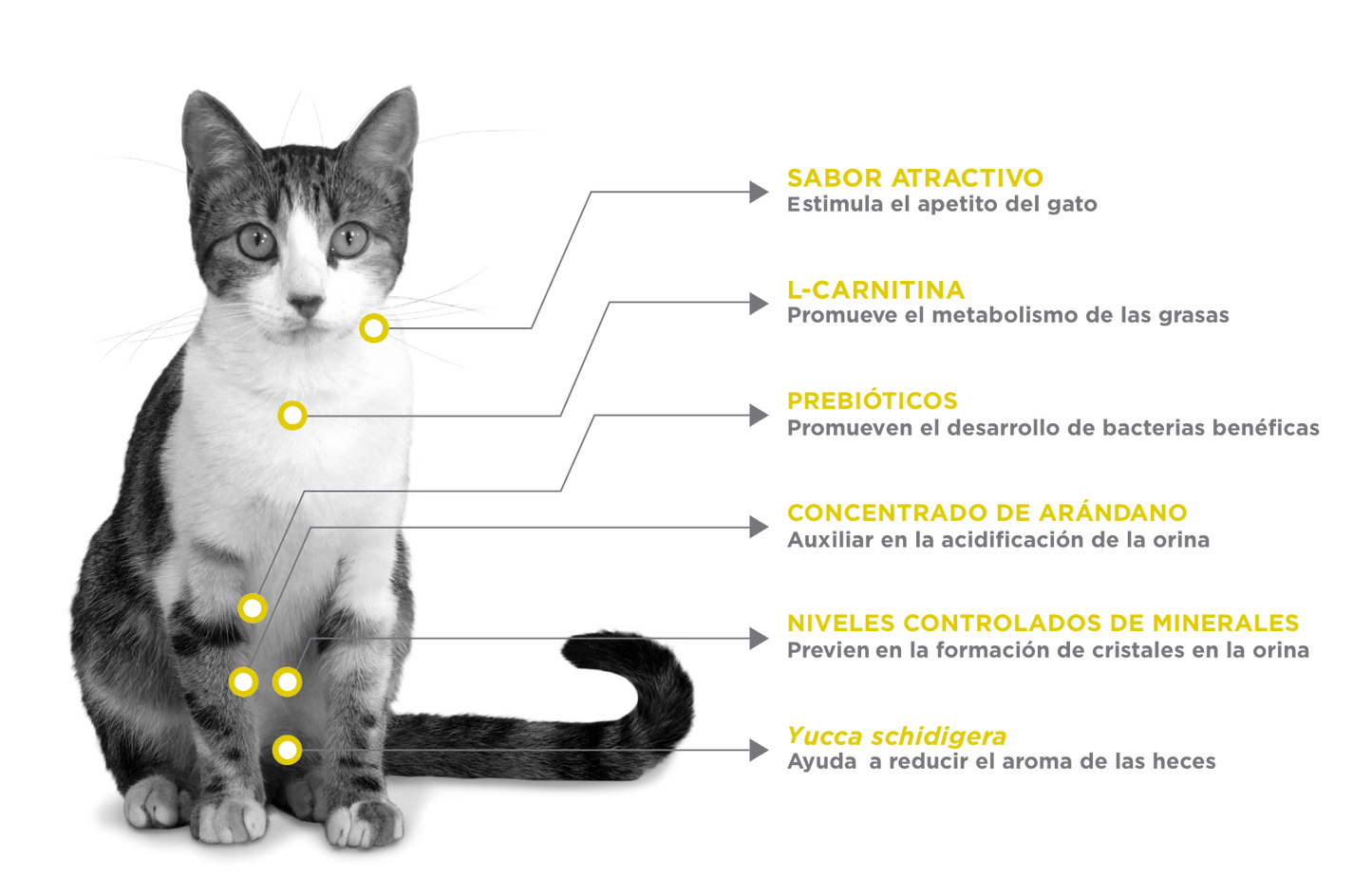 Nupec Felino Urinary Management