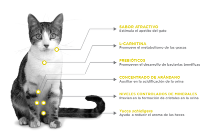 Nupec Felino Urinary Management