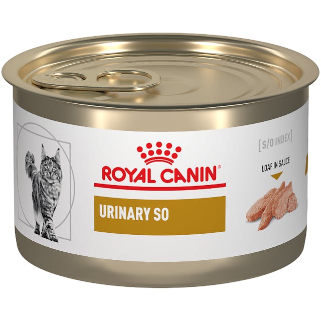 Lata Royal Canin Urinary SO Feline