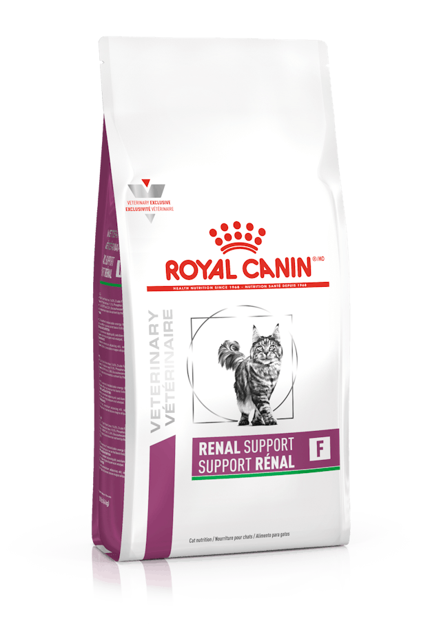 Royal Canin Renal Support F Feline